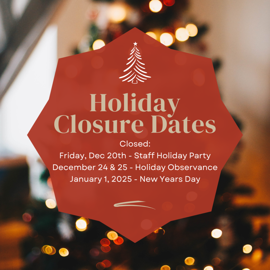 Red Festive Christmas Business Closure Dates Instagram Post