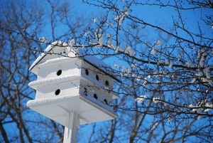 Charles Ware Memorial Garden birdhouse photo