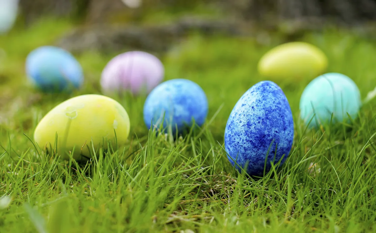 Easter Eggs