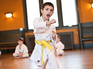 Program Karate Sessions
